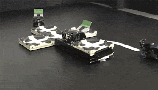 These TERMES bots programmed by the Harvard School of Engineering and Applied Sciences are taught specific building rules — like where to put certain shaped bricks. They can be left alone to construct structure because they're building autonomously — in the same way that termites build a hill.