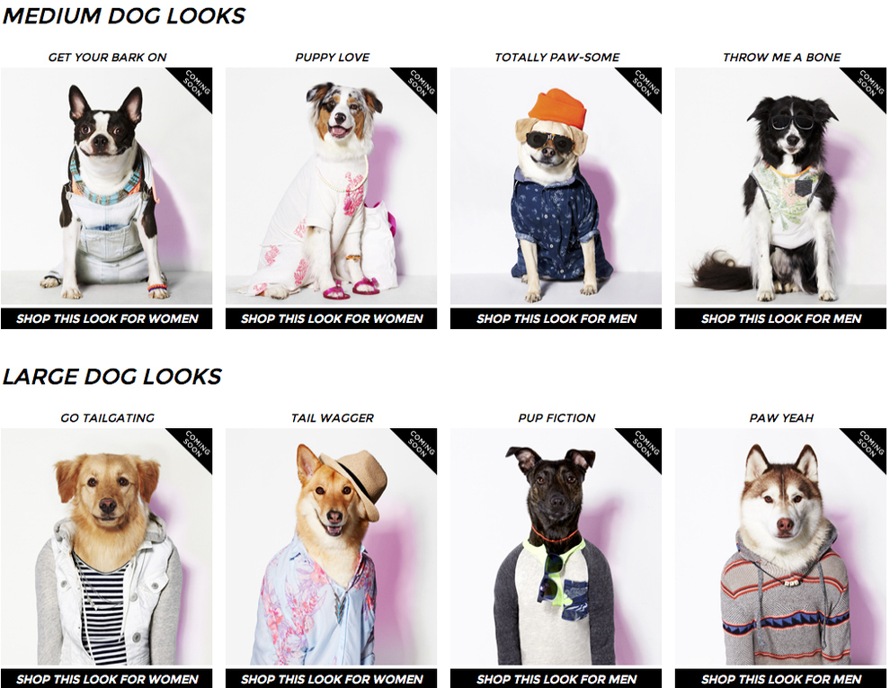 American Eagle Says It s Starting A Dog Brand Called American Beagle Outfitters