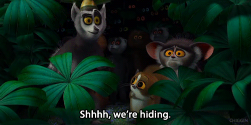 So the ship wrecked on Madagascar, leaving the animals to fend for themselves against insane lemurs. But what happened to the HUMAN BEINGS that were steering the ship? Did the penguins eat them?