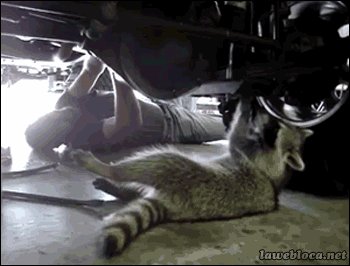 Looks like you need a new needle or five.