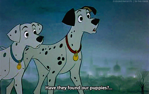 They have an adorable meet-cute in the park, then they adopt 86 extra puppies because WHO COULD SAY NO?