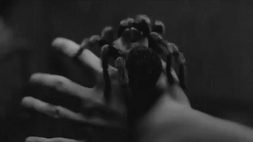 Loosen the lid on an empty jar, run into a room full of people saying "guys check out this huge spider I caught." Drop the jar, and watch everyone freak out.