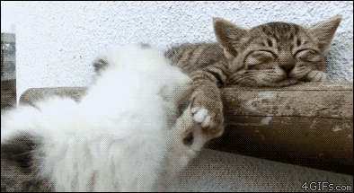 Sometimes they just don't take a hint.