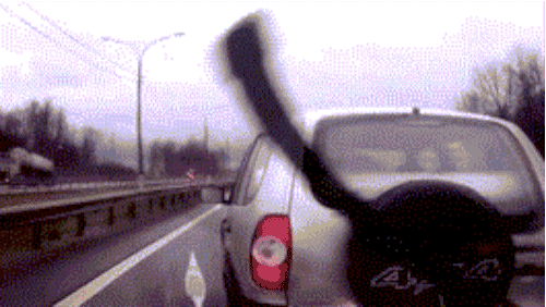 HOW DO I DEAL?! Lower your shades, grip the wheel, and carefully maneuver around them.