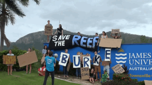 Threats such as agricultural runoff, increased ocean acidity and rises in ocean temperatures scientists believe is caused by the burning of fossil fuels such as coal. Rising temperatures leads to coral bleaching. Worse feedback loop ever. A study released by the Australian Institute of Marine Science found the reef has lost half its coral cover in the last three decades.