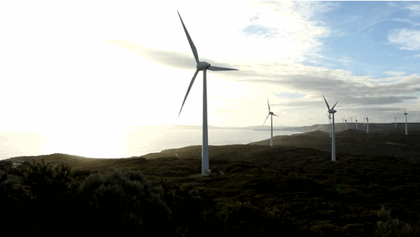 As reported in the Sydney Morning Herald, the Abbott government has already committed to further study on wind farms and health, despite the fact that recent studies from Australia's National Health and Medical Research Council have failed to find reliable or consistent evidence that wind farms directly cause human health problems.