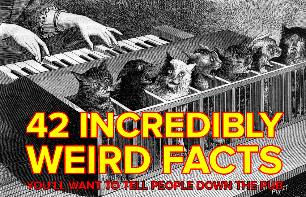 Incredibly Weird Facts Of The World