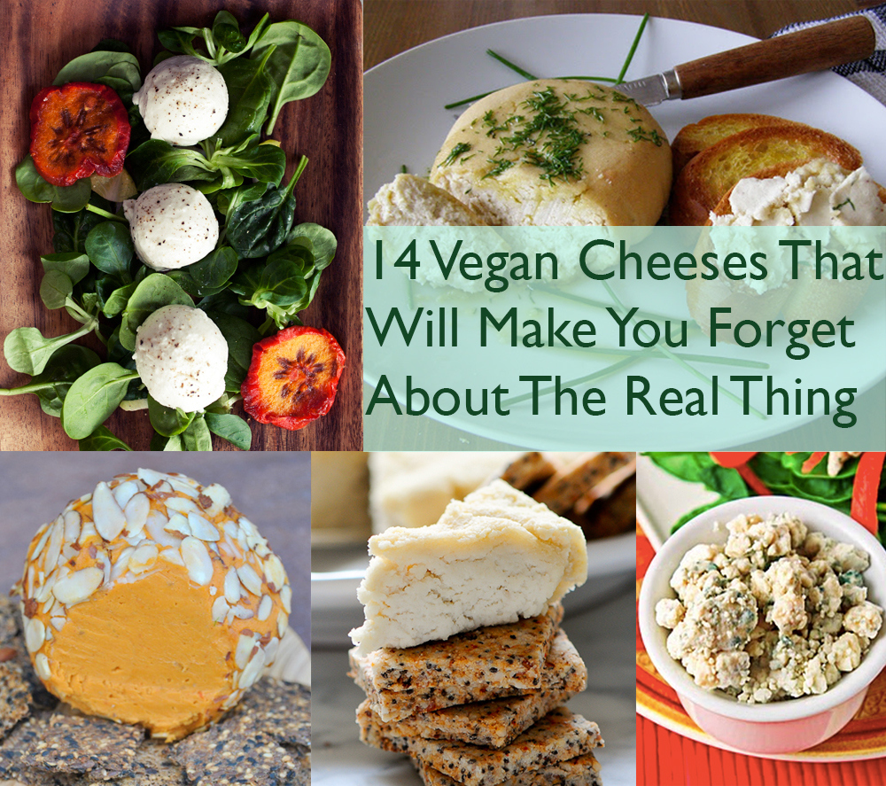 14 Vegan Cheeses That Will Make You Forget About The Real Thing