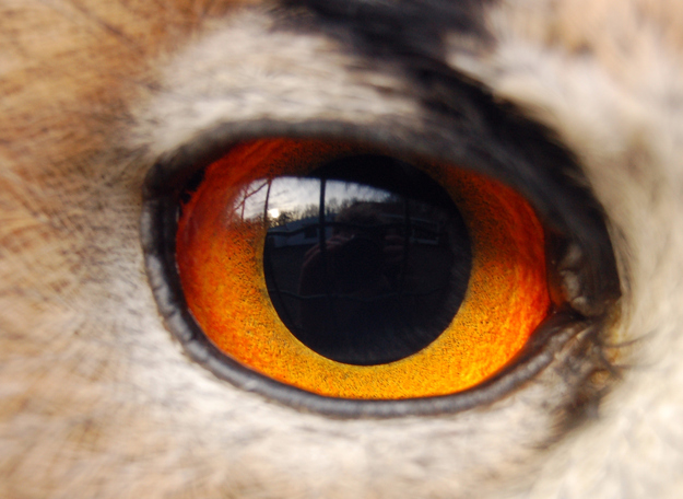 You've got quite an eagle eye.