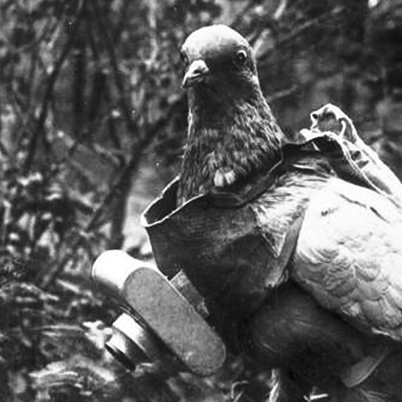 You're a total pro at aerial reconnaissance.