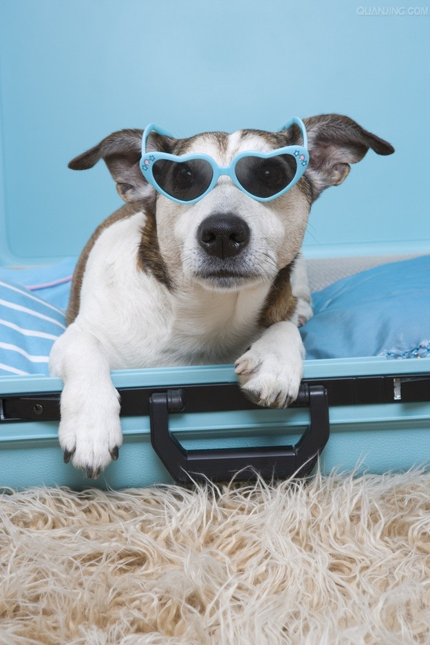 You're a savvy world traveler!