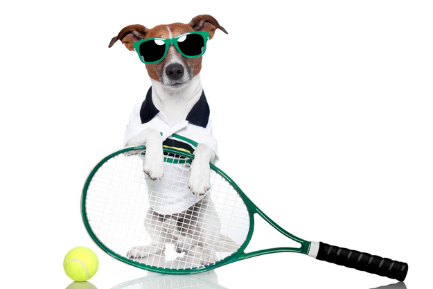 A Pro Tennis Player