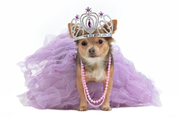A Princess