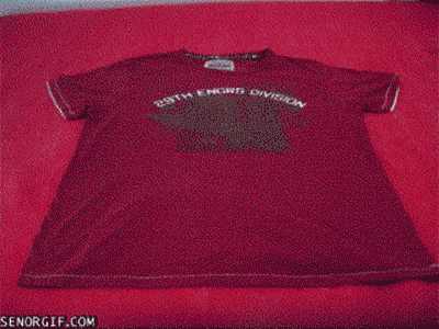 Why we'd talk to it: To save us hours of ridiculous folding and ironing.What we'd say most: "Stain begone!"