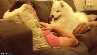 Outwardly you make fun of people who call their dog their baby, but inwardly...