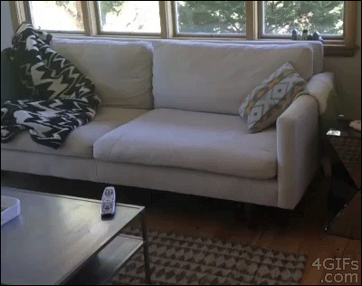 Why we'd talk to it: Spring cleaning and rearranging the house made a million times easier.What we'd say most: "So that's where the remote went! Spit it out, couch! Spit. It. Bad couch!"