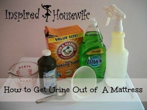 A Parent S Guide To Cleaning Up After Your Gross Kids