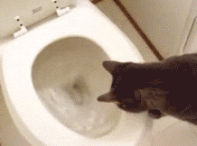 "ITS ALL GONE, HUMAN?"