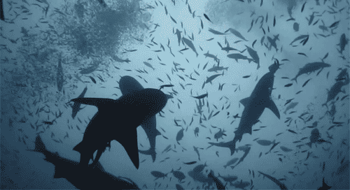 Know the depth of the water beneath you so the bait isn't taking a dirt nap, and determine the optimal fall speed for your worm. That's key to getting more bites.