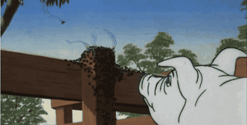 14 Times Charlotte S Web Broke Your Heart 14 Times Charlotte S Web Broke Your Heart