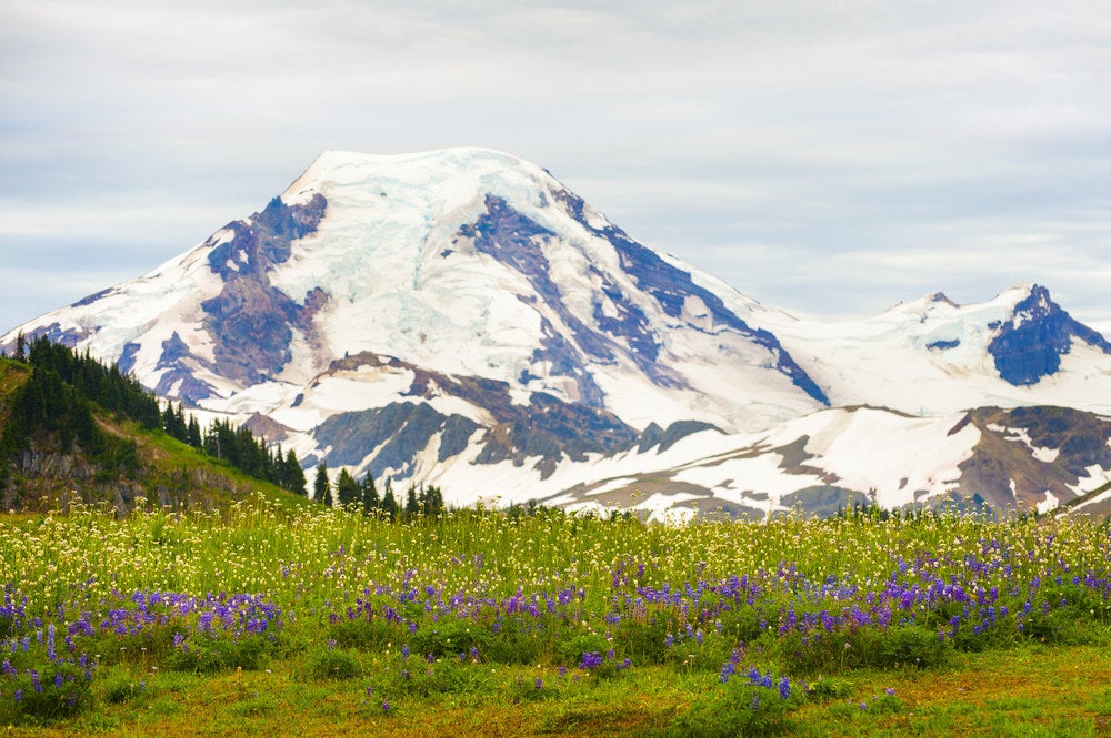 12 Hiking Trails That Will Take Your Breath Away