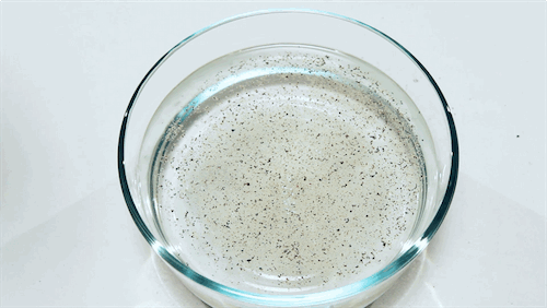 Qué necesitas:Agua, pimienta, un tazon y jabón.Cómo se hace:Llena el tazón con agua y rocía la pimienta encima. Date cuenta que si lo tocas con tu dedo no pasa nada. Pon algo de jabón sobre tu dedo, tócalo otra vez y mira cómo la pimienta se propaga como por arte de magia.Lo científico:Debido a la tensión superficial, la pimienta flota encima del agua. El jabon interfiere con el enlace de hidrógeno entre las moléculas de agua, rompiendo la tensión superficial. Lógicamente, las moléculas de agua son fuertemente atraídas unas hacia otras. Así que cuando la tensión superficial se rompe, el agua se propaga hacia afuera. Son atraídas hacia las moléculas de agua de afuera, haciendo que se extienda y llevándose la partículas de pimienta con ella.