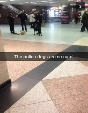 The caption is as unnecessary as the picture.