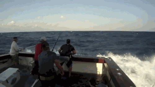If you're not into the Zen master snoozefest, grab a few thrill seekers and try some deep sea fishing.