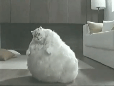 Fast food, plus canceled gym membership equals jiggles.
