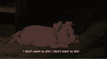 14 Times Charlotte S Web Broke Your Heart 14 Times Charlotte S Web Broke Your Heart