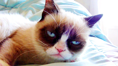 Ohhhhhhh god. Guess you're NOT going to the gym today.