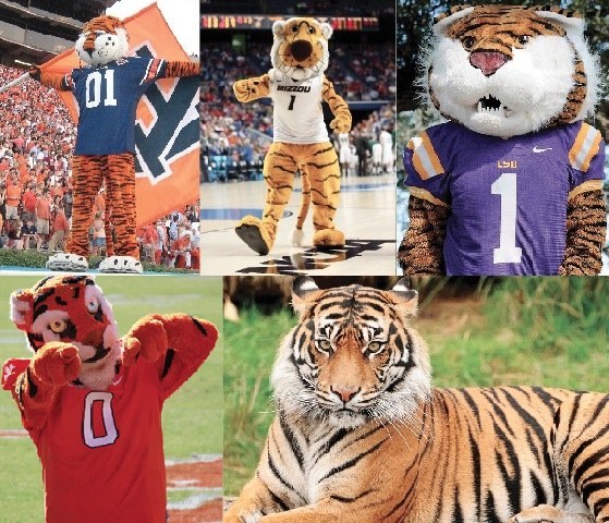 What College Mascots Look Like In Real Life