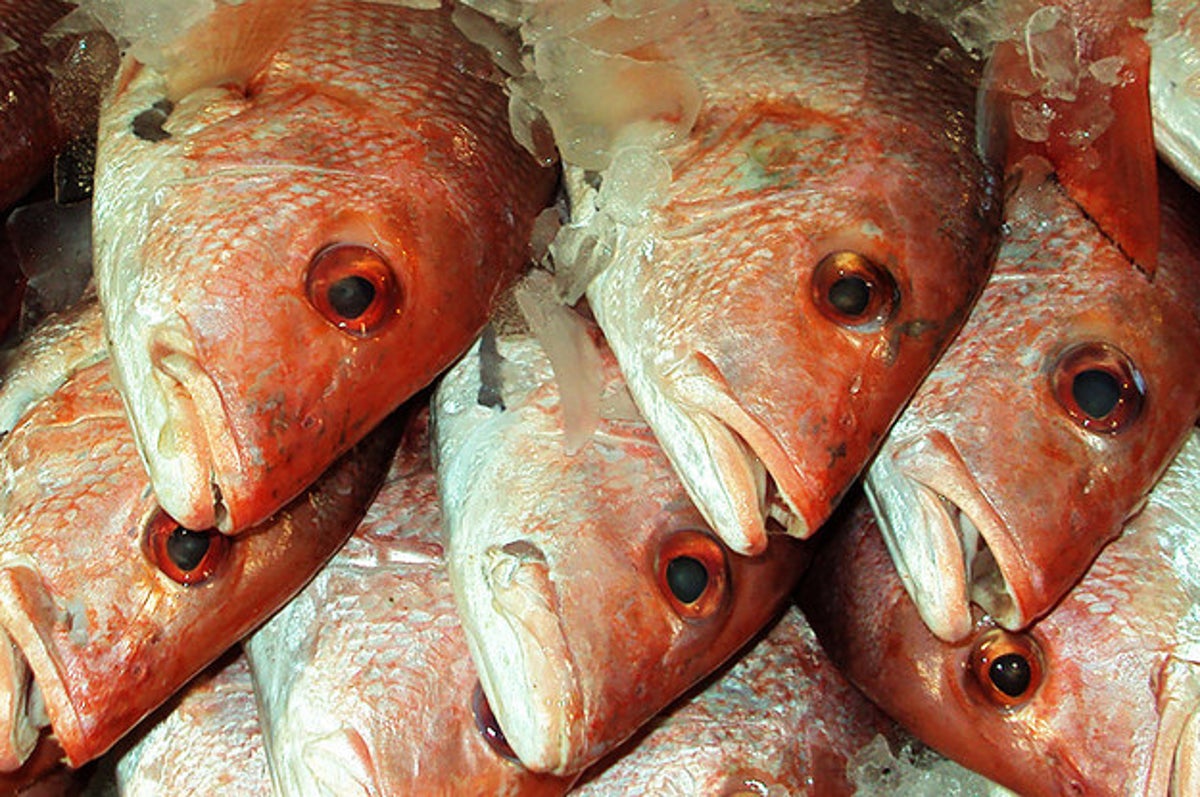 13 Totally Horrifying Facts About Seafood