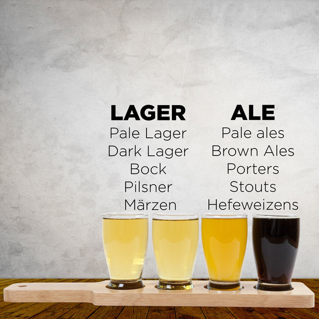 13 Things You Need To Know To A Craft Beer Enthusiast