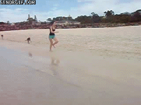 The Most Australian Things That Ever Happened the-most-australian-things-that-ever-happened