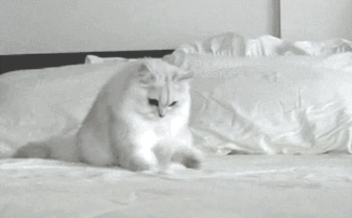 Yeah, it's boring. But there's also nothing nicer than getting into a bed that's been made properly. Plus it was expensive, so you'd better treat it right. You win again, Mom.