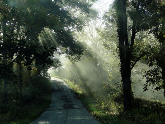 Southern Indiana Roads"Early Morning Fog" -- Cindy Cornett SeigleCreative Commons License (CC BY-NC-SA 2.0)