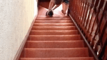 Normally, you'd be holding onto the banister for dear life while dry heaving after staircase 1.