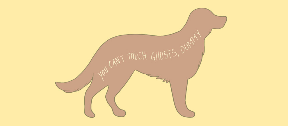 where do dogs like to be touched