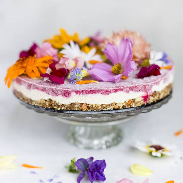 23 Edible flower recipes that are almost too pretty to eat – SheKnows