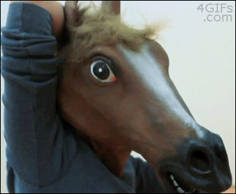 Crazy, crazy horses.