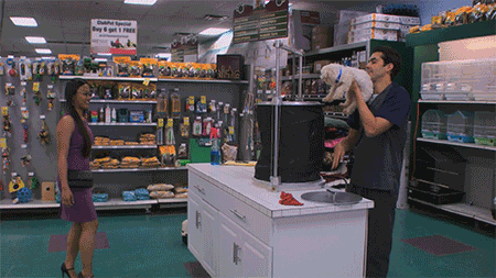 Dog Gone!