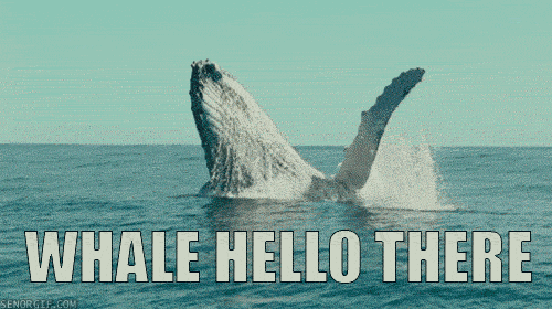 The ocean is amazing.