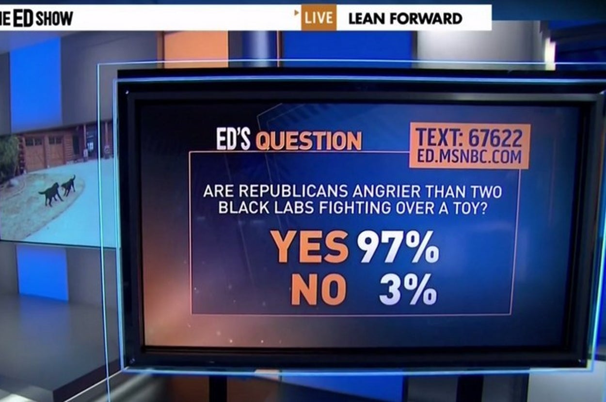 Msnbc Poll Numbers The 10 Best Polls On MSNBC's