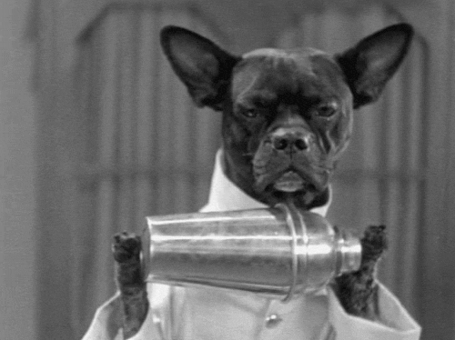 "Greyhounds and Salty Dogs are my specialty."