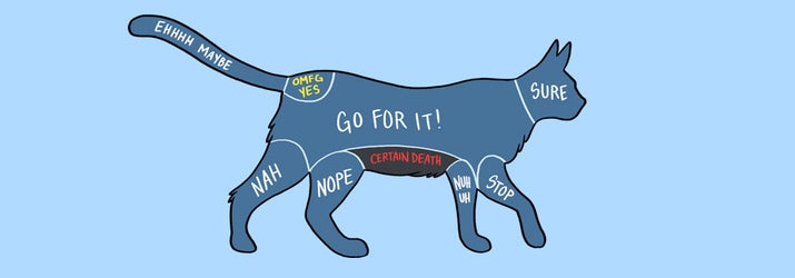 15 Charts That Perfectly Illustrate How To Properly Pet Animals