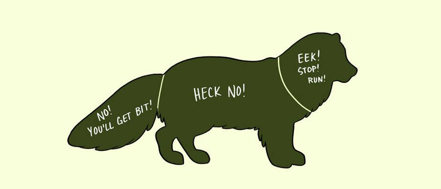15 Charts That Perfectly Illustrate How To Properly Pet Animals
