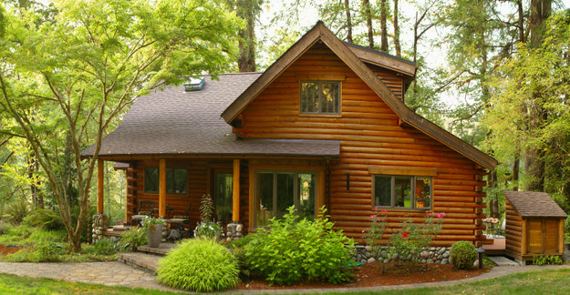You'll be living In a Quiet Mountain Cabin!