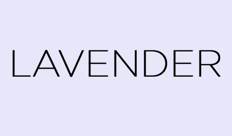Lavender