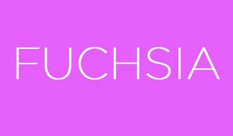 Fuchsia